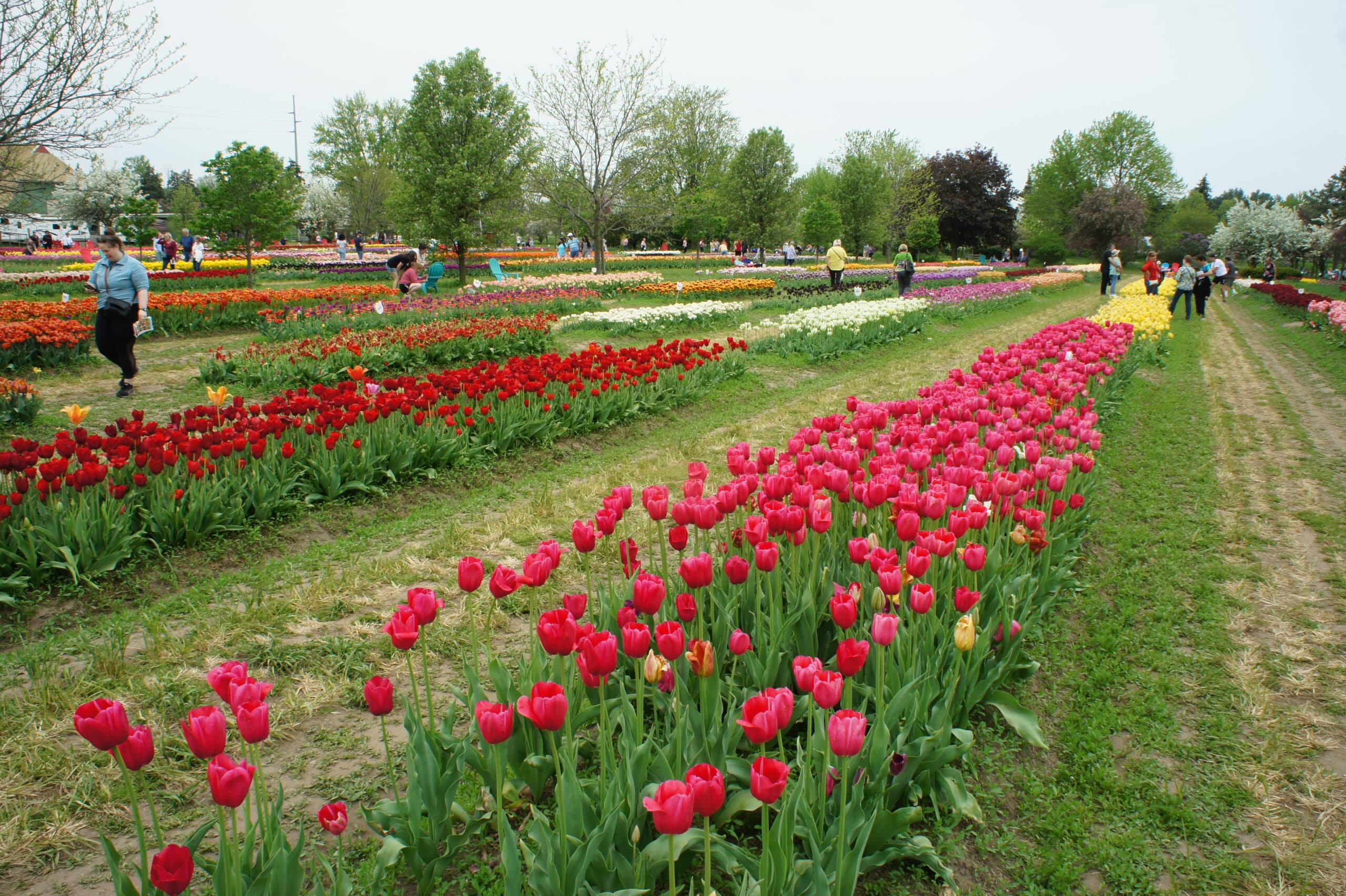 Veldheer Gardens
