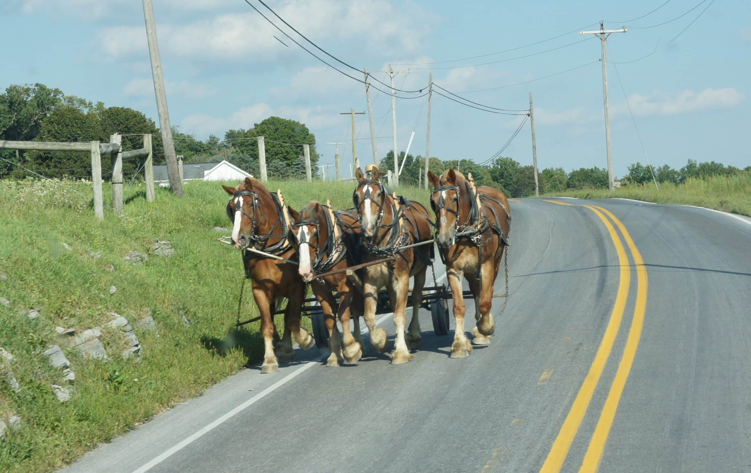 Amish Working Team