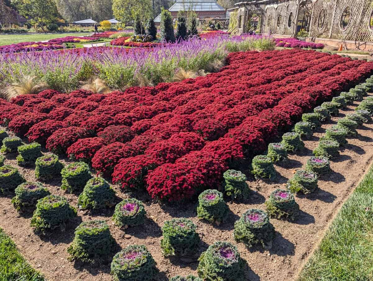 Smoky Mountain Photos 39 Pxl 20251021 153031440 Scaled