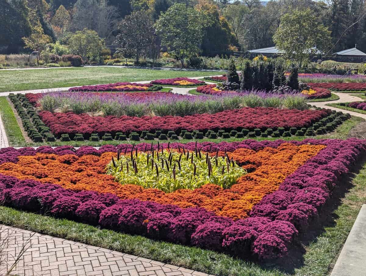 Smoky Mountain Photos 36 Pxl 20251021 154359346 Scaled