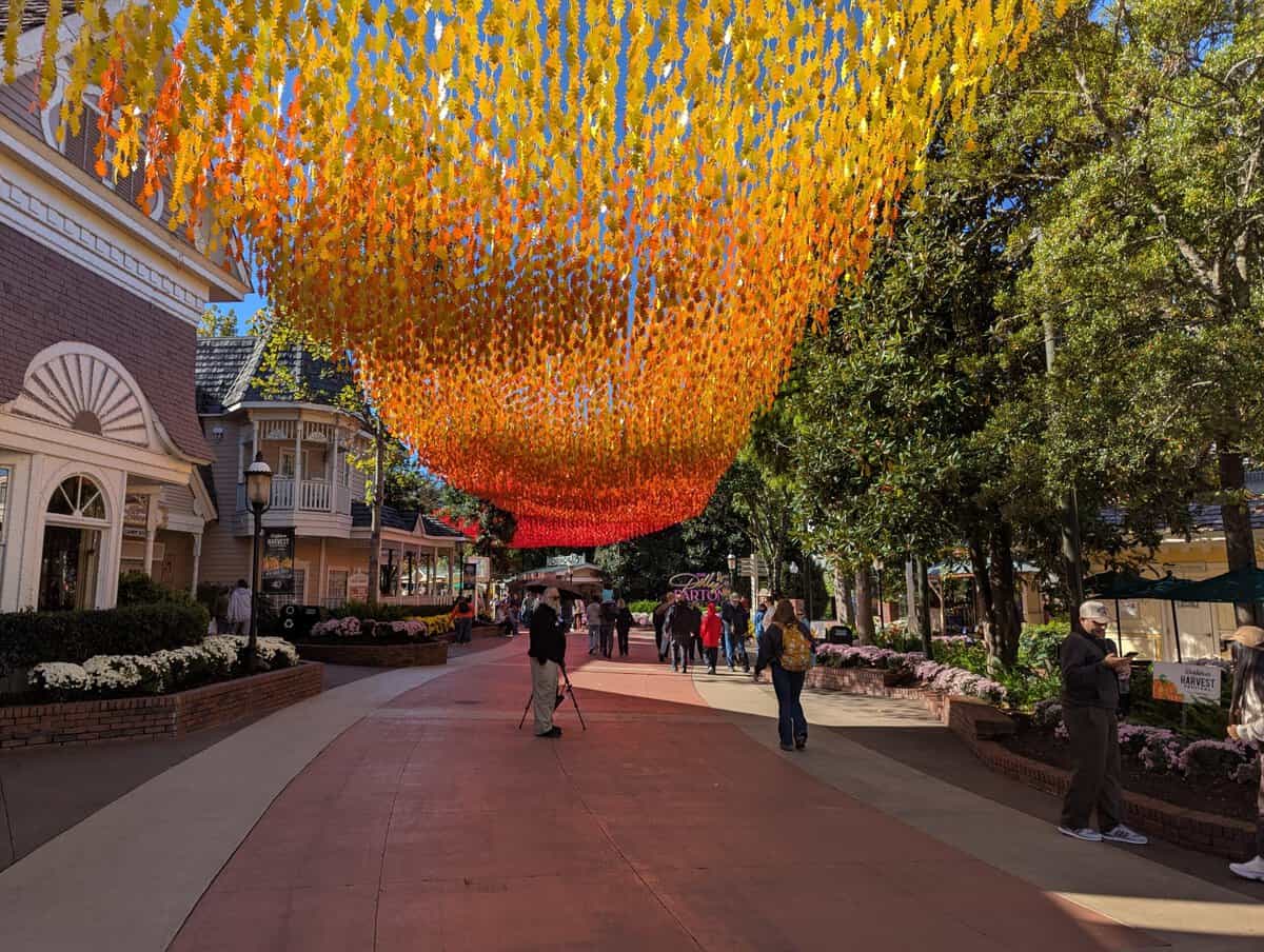 Smoky Mountain Photos 61 Pxl 20251022 145719112 Scaled