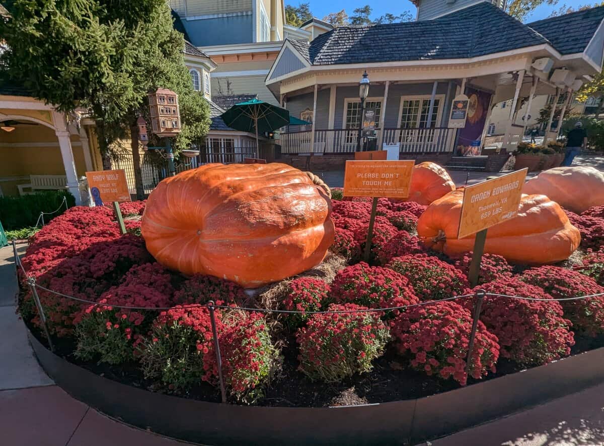 Smoky Mountain Photos 76 Pxl 20251022 150920047 Scaled