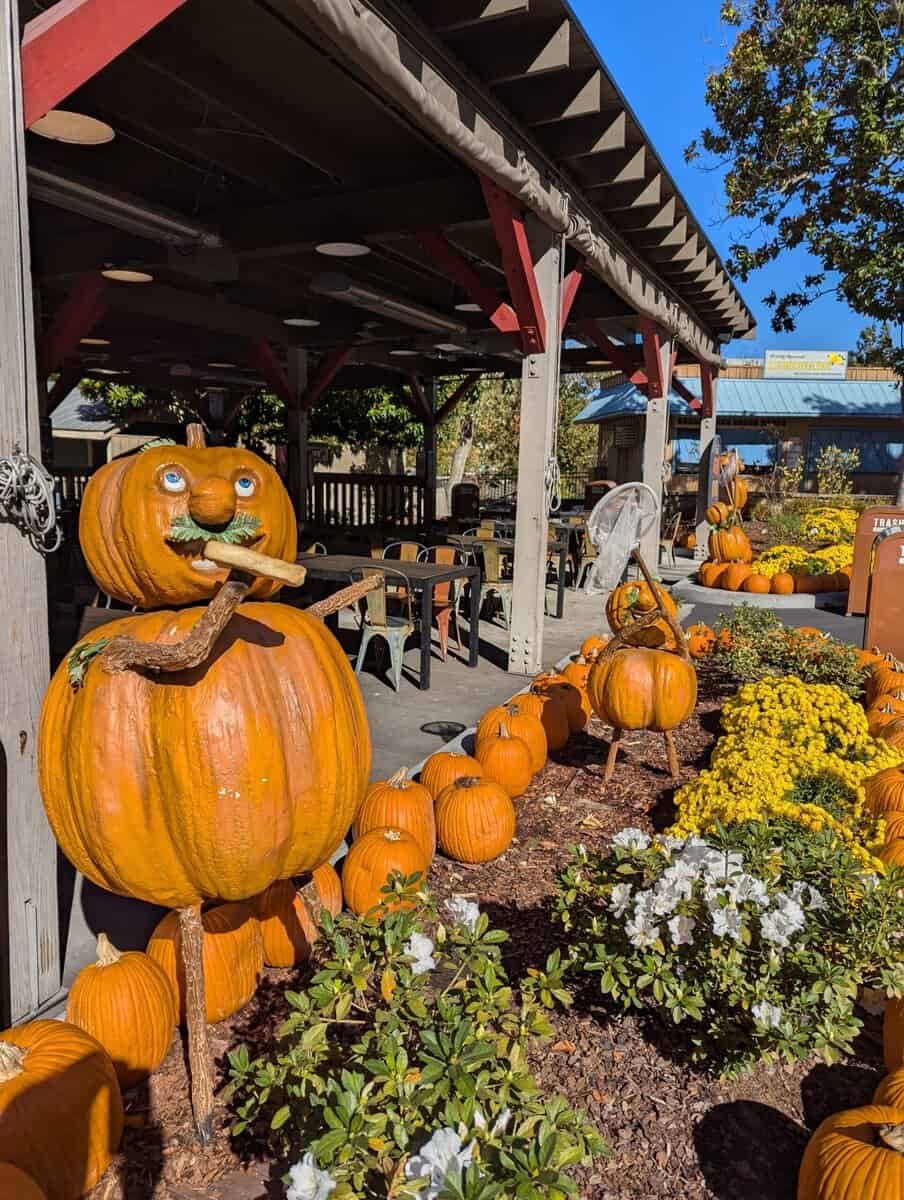 Smoky Mountain Photos 70 Pxl 20251022 153053513 Scaled