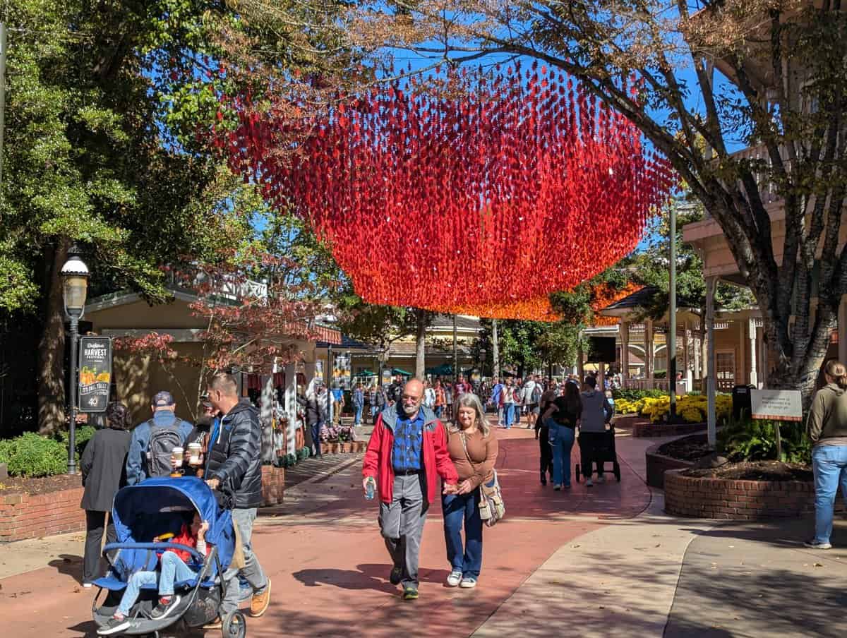 Smoky Mountain Photos 67 Pxl 20251022 161608835 Scaled