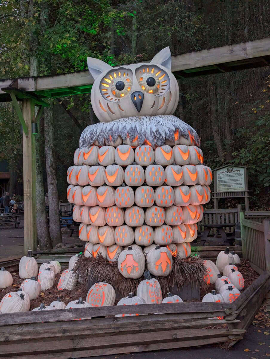 Smoky Mountain Photos 79 Pxl 20251022 225800541 Scaled