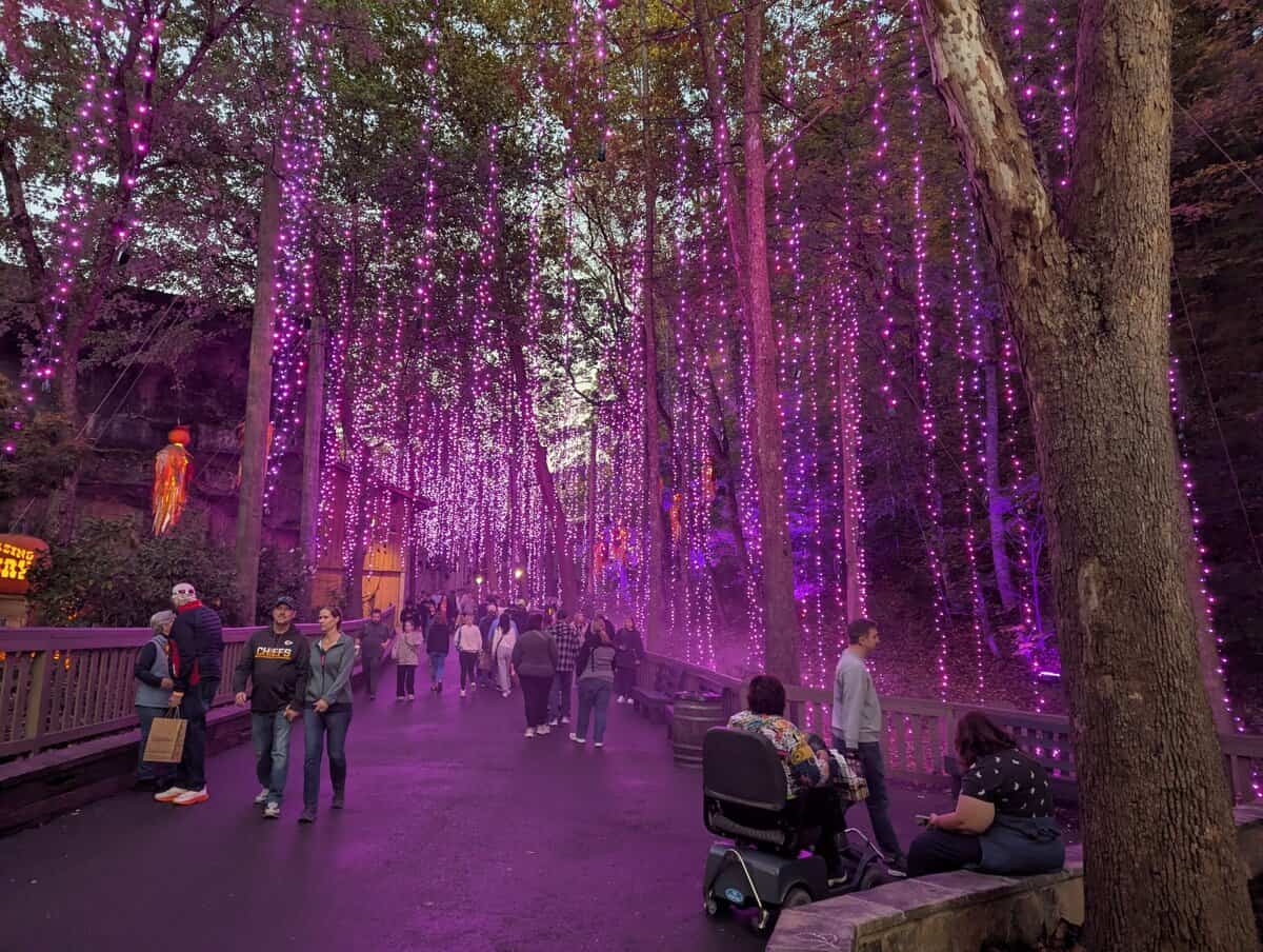 Smoky Mountain Photos 82 Pxl 20251022 230049685 Scaled