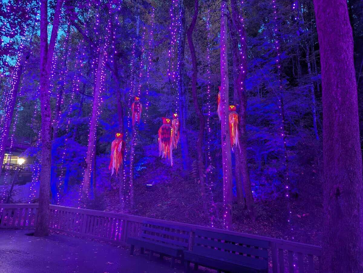 Smoky Mountain Photos 83 Pxl 20251022 230241777 Scaled