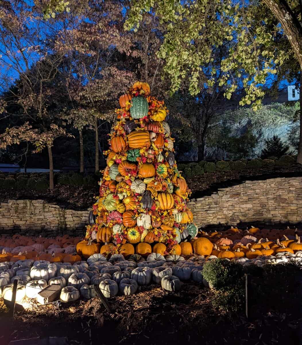 Smoky Mountain Photos 80 Pxl 20251022 231043900 Scaled