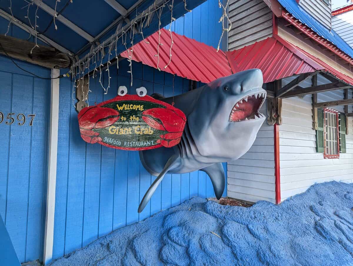 2026 Myrtle Beach Photos 82 Pxl 20260412 213600898 Scaled