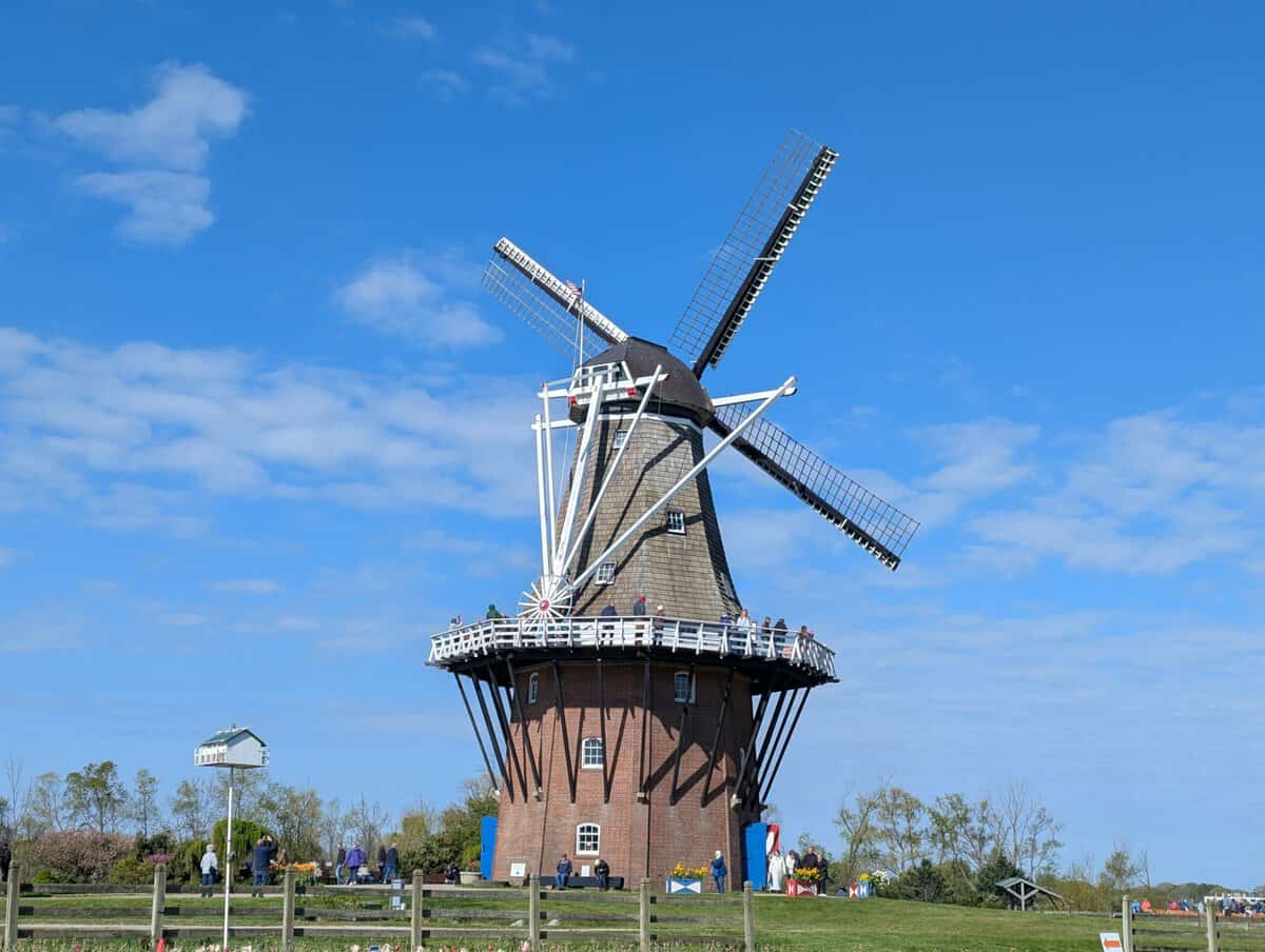 2026 Holland Tulip Festival Photos 29 Pxl 20260507 135457096 Scaled