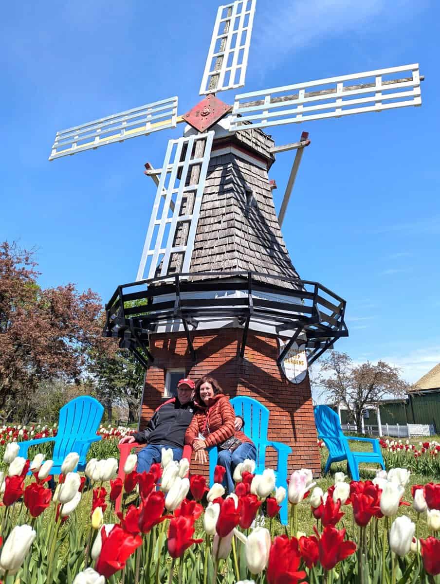 2026 Holland Tulip Festival Photos 41 Pxl 20260507 171731664 Scaled