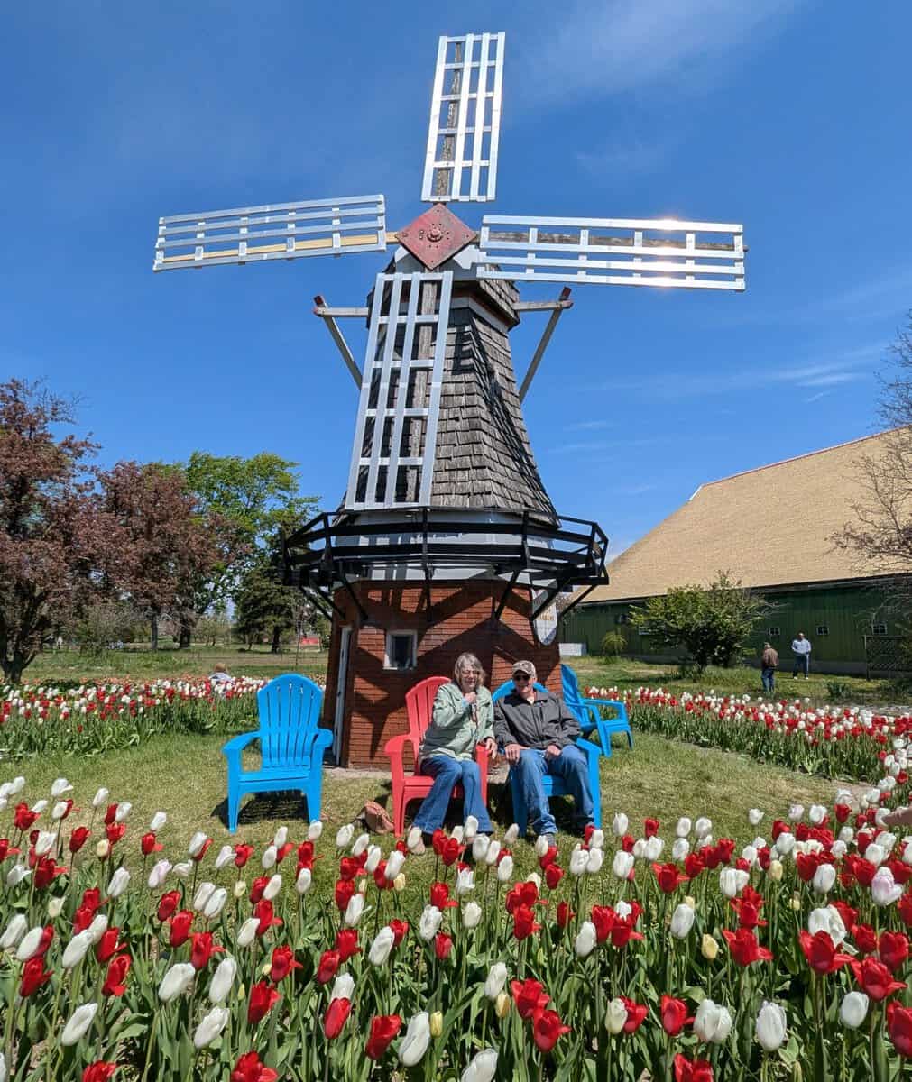 2026 Holland Tulip Festival Photos 47 Pxl 20260507 171836715 Scaled