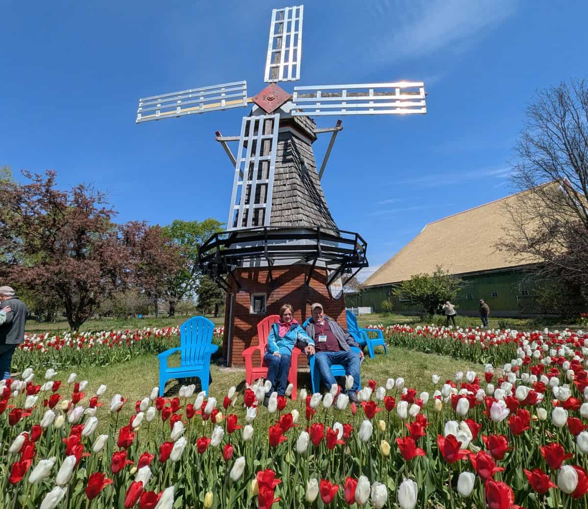 2026 Holland Tulip Festival Photos 44 Pxl 20260507 171938285 Scaled