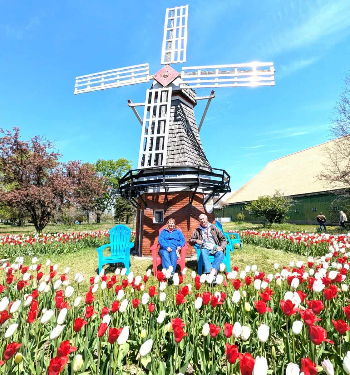 2026 Holland Tulip Festival Photos 40 Pxl 20260507 172046378 Scaled